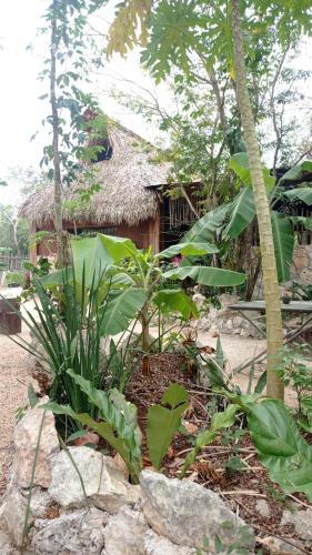 Ek Balam Village Other | Camping Rancho El Tauro