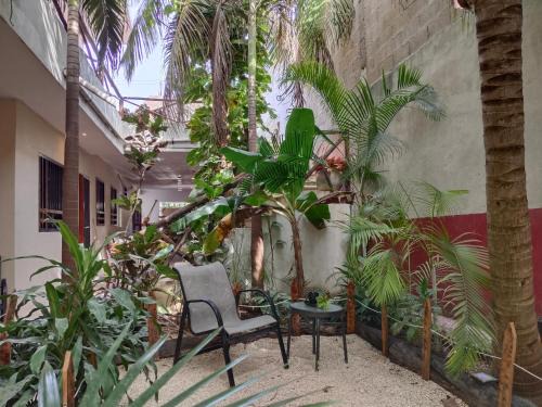 Tulum City Center Hotel | Casa Lupita