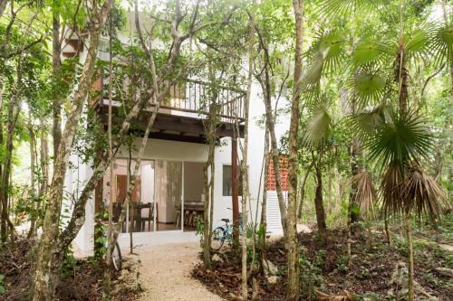 Chemuyil House | Casa Muuch Eco paradise-Cenotes near by
