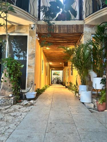 Luis Donaldo Colosio Apartment | Casa Playita PDC