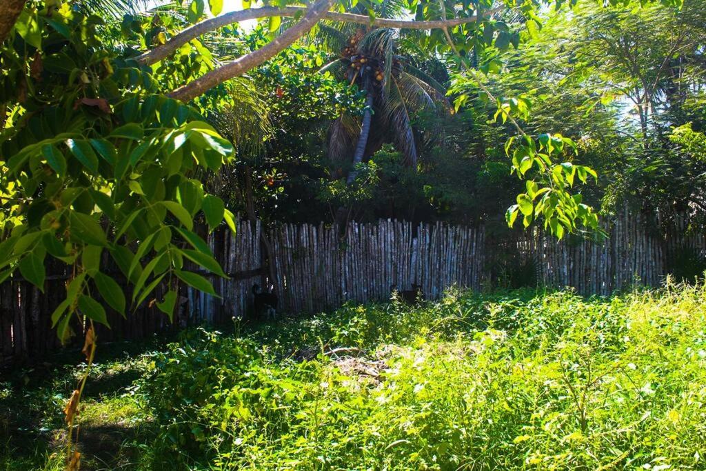 El Cuyo House | Casita Kuxtal El Cuyo