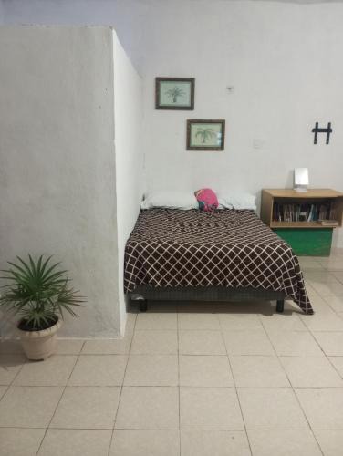 Chunhuhub Apartment | chi'it palma real