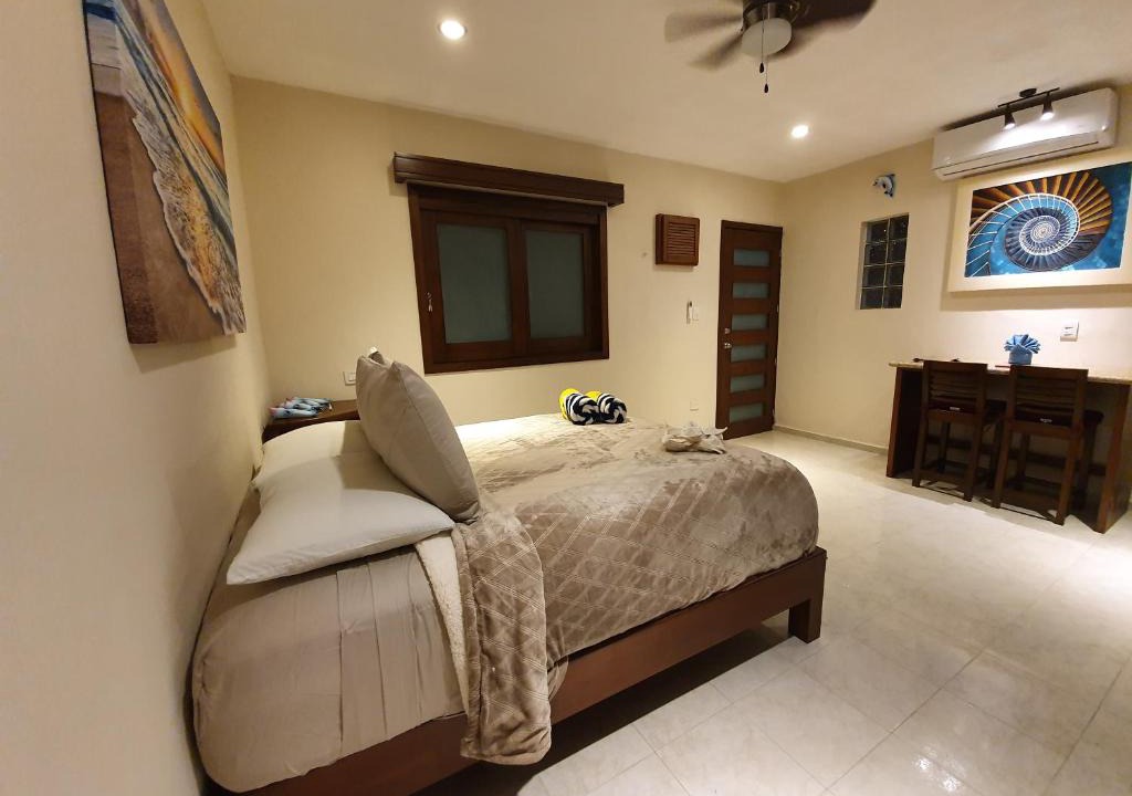 Centro - Supmza 001 Apartment | Coralito Malecon Luxury Studio