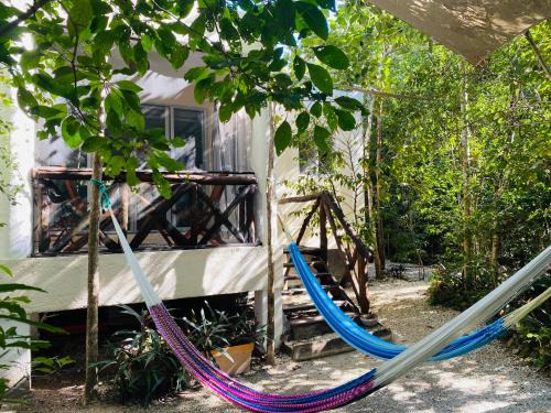 Cozumel Apartment | Eco Bungalow Bé La Kin