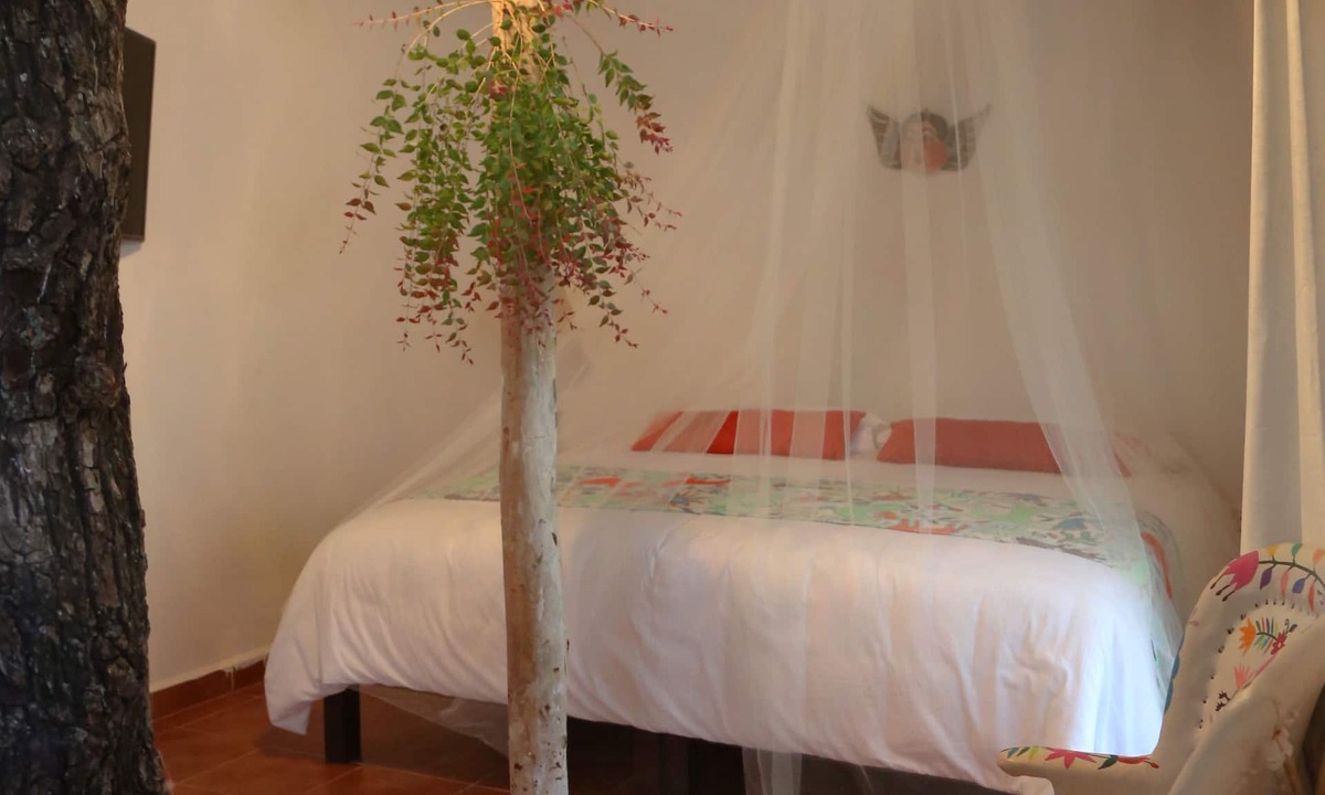 Chan Chemuyil Hotel | Ecovergel Riviera Maya Hotel Boutique