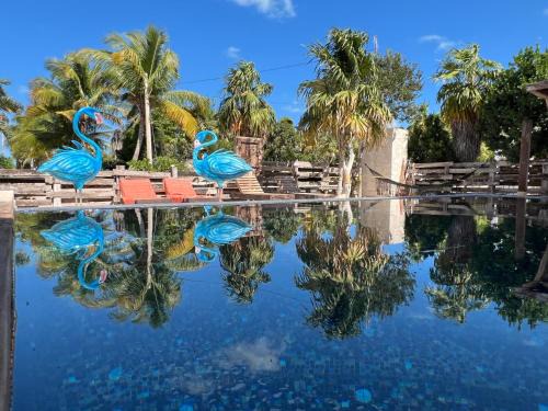 El Cuyo Hotel | Flamingo Blue - Casa Boutique - Adults Only