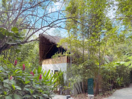 Tancanhuitz Hotel | Gran Tamoanchan