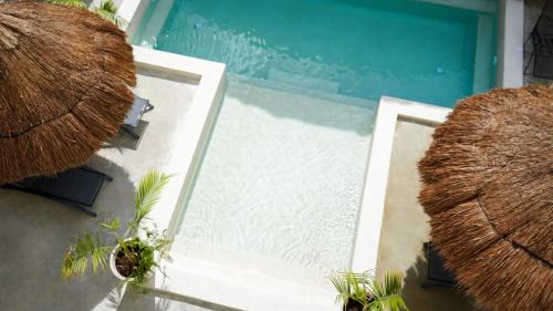 Mario Villanueva Madrid Hotel | Hotel Diosa del Agua Bacalar