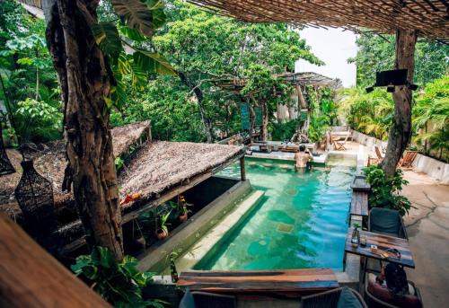 Zama House | Jungle Sanctuary Wellness Retreat w Pool Bar Spa