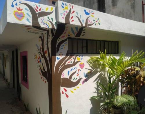 Luis Donaldo Colosio Apartment | La Casa de los Cactus 8