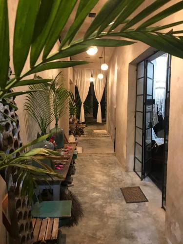 Valladolid Bed & Breakfast | La Flor Casa Boutique