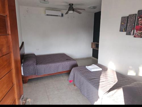 Majahual Hotel | Luz de Luna Mahahual