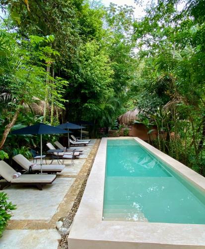 Palenque Hotel | Piedra de Agua Palenque