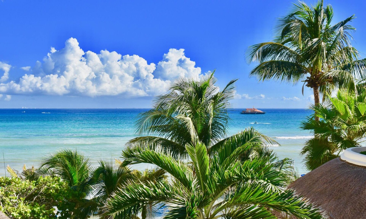 Centro Apartment | Playa Palms, Garden View beautiful studio 107