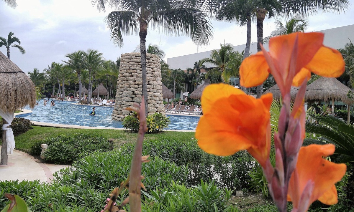 Villa Juarez Resort | Vidanta Grand Mayan Golf Resort 1 Bedroom Suite