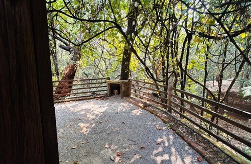 Tepoztlan Cabin | A cabin in the middle of the forest, 20 minutes from downtown Tepoztlán