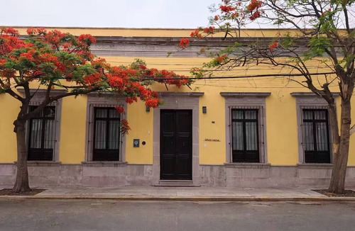 Guadalupe Apartment | Aire Suite | In a Boutique House with a Pool