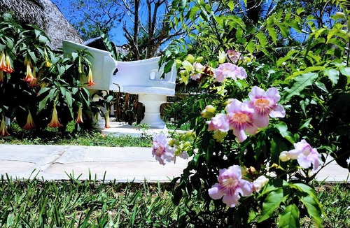 Izamal Hotel | Aldea Toktli Hotel and Museum - Pool, Starlink Wi-Fi, and Mayan House Museum Tour