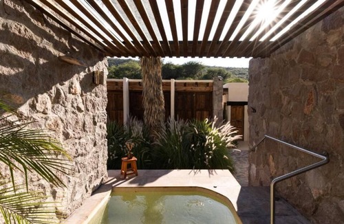 Armadillo de los Infante Hotel | Armadillo Mágico