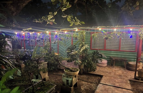 Chetumal House | Bonsai House