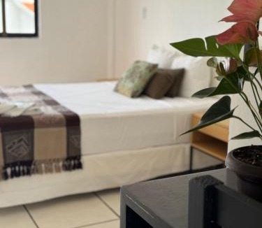 Centro Hotel | Calma Chicha Rooms