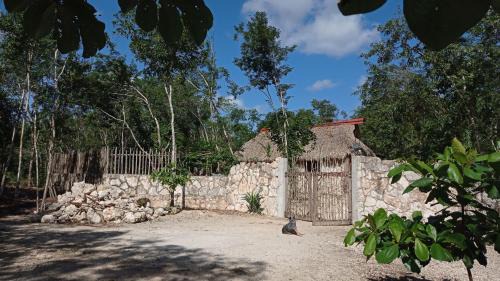 Ek Balam Village Other | Camping Rancho El Tauro