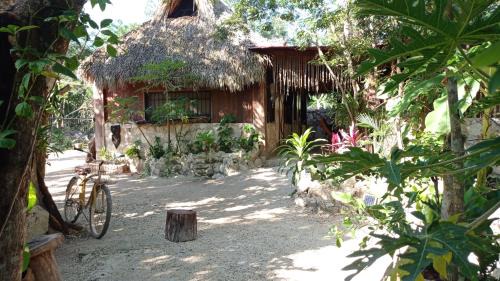 Ek Balam Village Other | Camping Rancho El Tauro