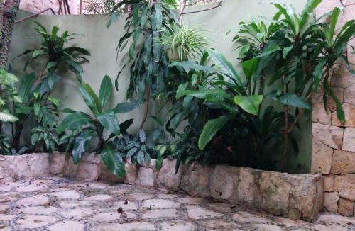 Playacar House | Casa Beard, Spacious Guest House with High Speed WiFi & Pool.