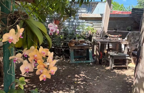 Chetumal House | Casa Bonsai Entire home in Chetumal, Mexico