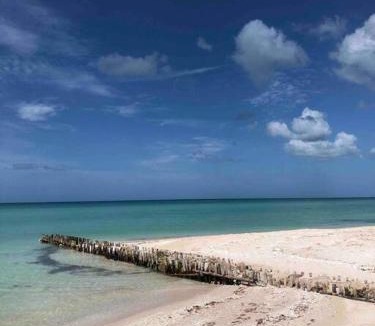 Chuburna Puerto House | Casa para descansar y disfrutar la vida en el mar