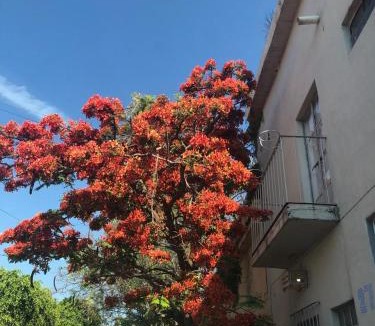 Zona Centro Hotel | Casa Pila Seca