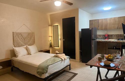 Luis Donaldo Colosio Apartment | Casa Playita PDC