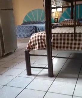 Rincon de Guayabitos Hotel | Casa Regina
