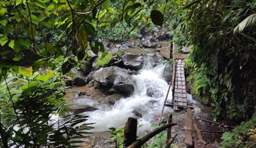 Sontecomapan Hotel | Cascada el tucan
