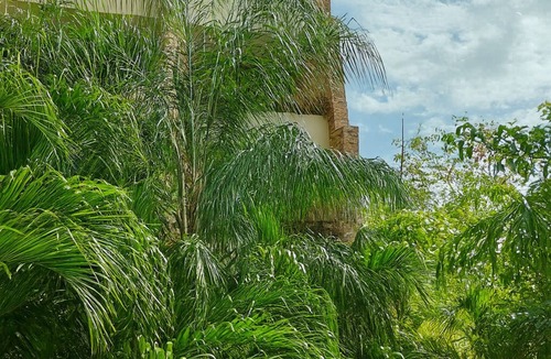 Centro Apartment | Central condo: Pool, Gym + Garage. Near 5th&beach