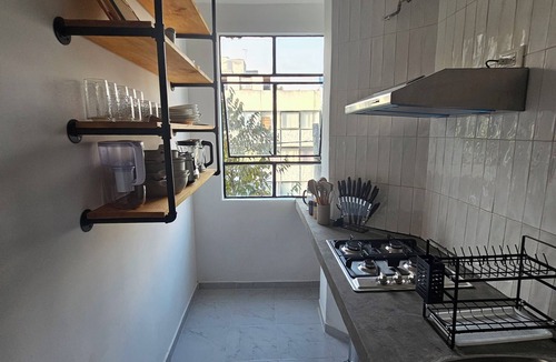 Downtown Mexico City Apartment | Classic and Modern in Roma Norte