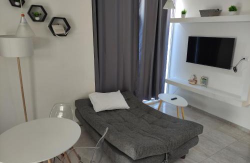 Soledad de Graciano Sanchez Apartment | Departamento Ejecutivo