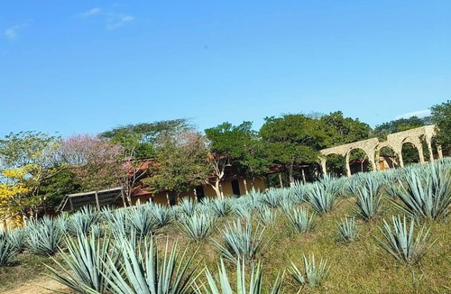 Cancun House | Early access tour to Chichen Itza, Cenote Hubiku and Valladolid.
