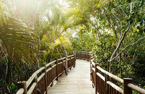 Villa Juarez Condo | Grand Luxxe, Riviera Maya. Gorgeous 1 Bedroom Villa. Most Weeks, Best Rates!