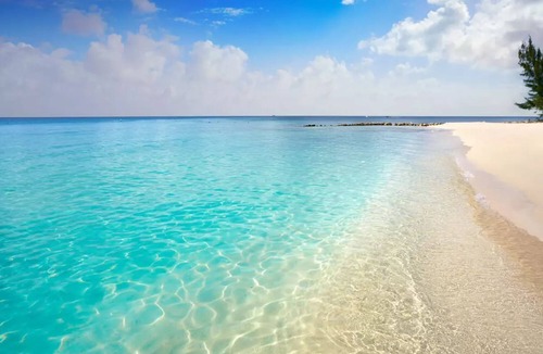 Colonia Centro Apartment | Grandioso Estudio frente al mar en Cozumel A2