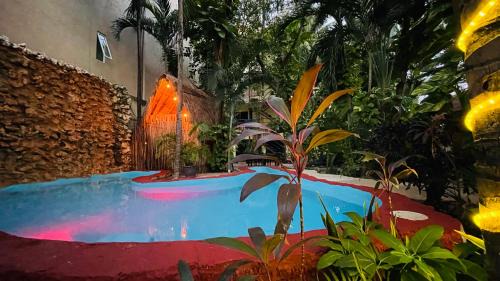 Downtown Hotel | Hotel B&B - Playa del carmen
