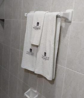 Panuco Hotel | HOTEL TAMPICO EXPRESS MORALILLO
