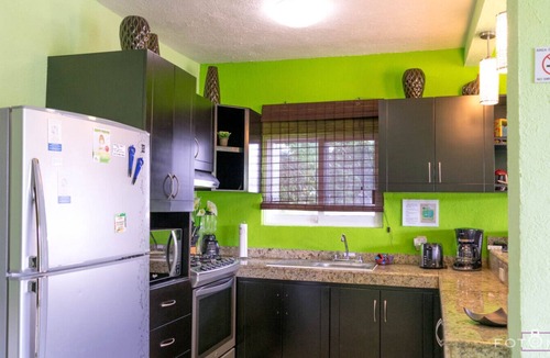 Playacar Apartment | Jardin Secreto By Blueplaya
