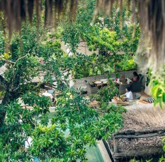 Zama House | Jungle Sanctuary Wellness Retreat w Pool Bar Spa