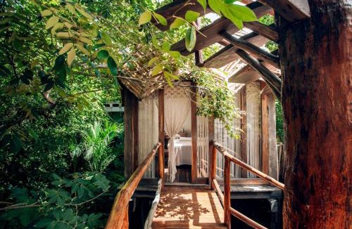 Zama House | Jungle Sanctuary Wellness Retreat w Pool Bar Spa