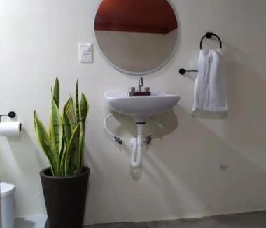 Luis Donaldo Colosio Apartment | La Casa de los Cactus 8