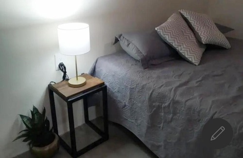 Luis Donaldo Colosio Apartment | La Casa de los Cactus 8