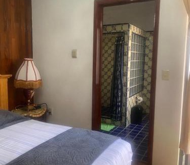 Del Carmen House | Los viveros de Coyoacan
