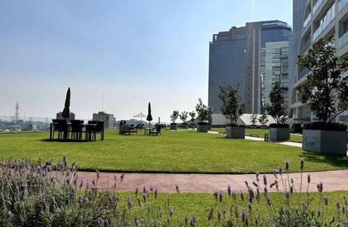 Zona Rosa Apartment | Luxurious and exotic apartment in Reforma 222