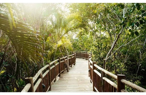 Downtown Cancun Resort | Luxury Resort by Vidanta- Riviera Maya